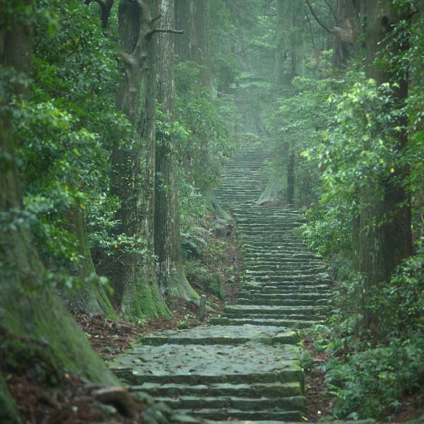 エリアフィーチャー 熊野古道［和歌山県・奈良県・三重県］