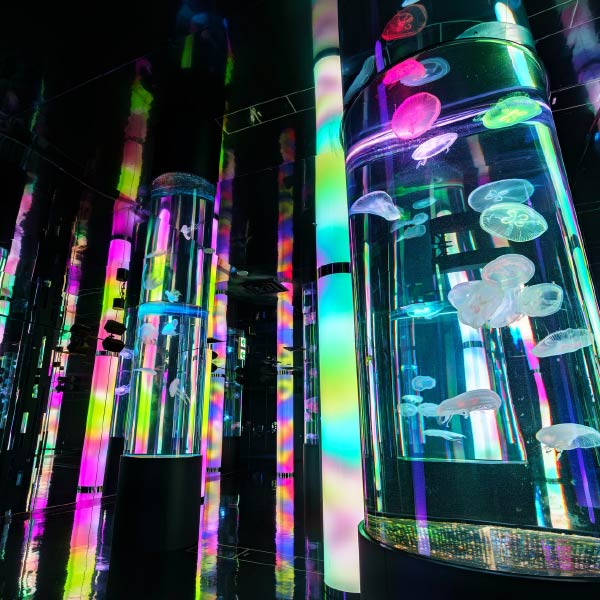 エリアフィーチャー 沖縄本島［沖縄県］