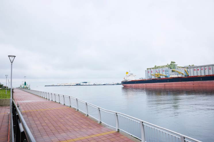 ケーズハーバー