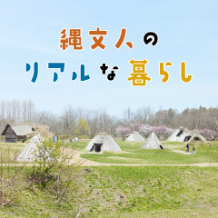 コラム