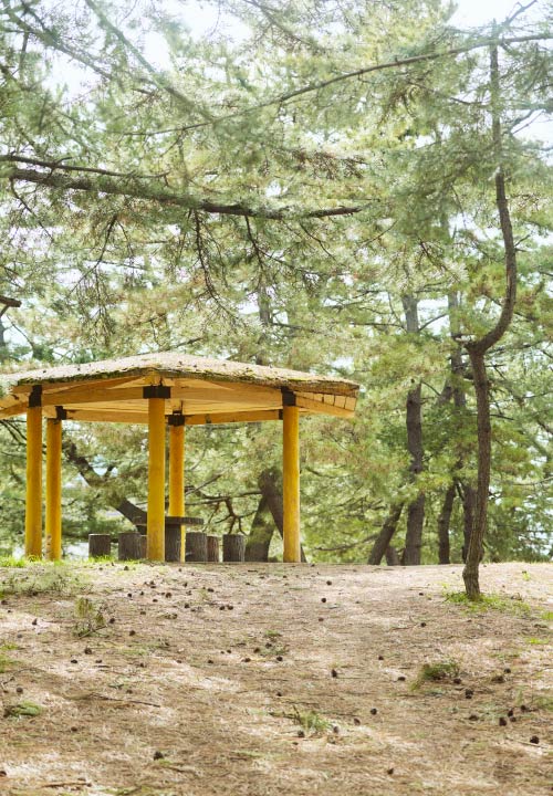 心癒される憩いの場合浦公園をのんびり散策