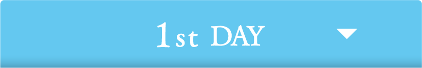 1st DAY