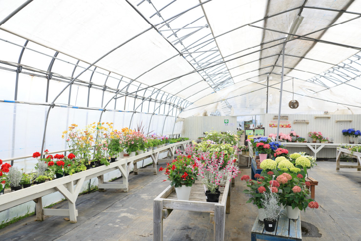 Cafe Tea’s Garden