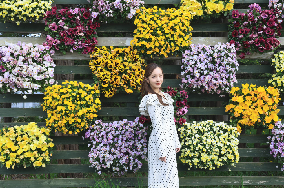 Cafe Tea’s Garden