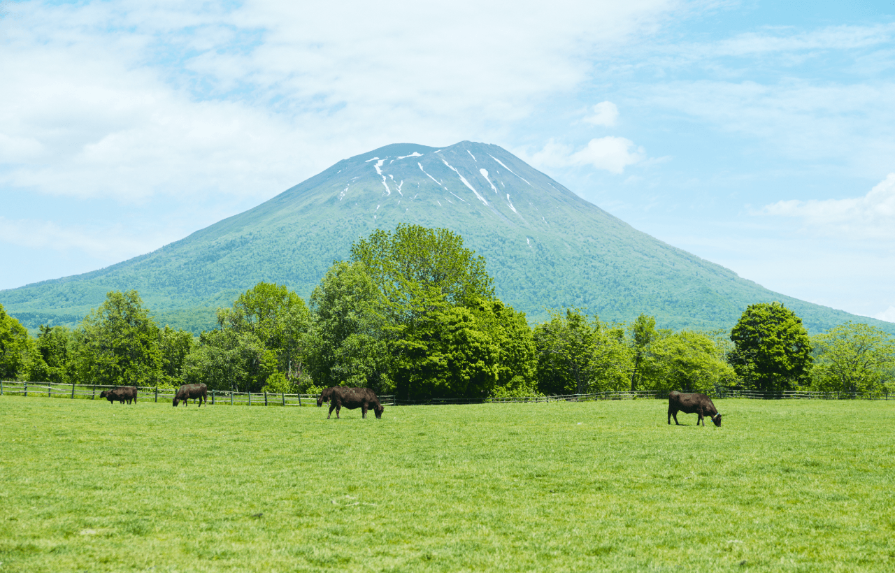 ニセコ町を育む「水 」のはなし