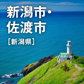 エリアフィーチャー