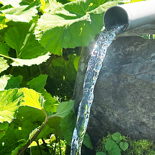 特別コラム1 水に癒される回復体験