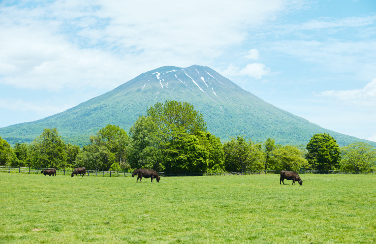 グリーンバイク