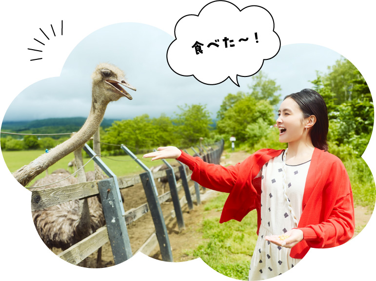 第二有島だちょう牧場