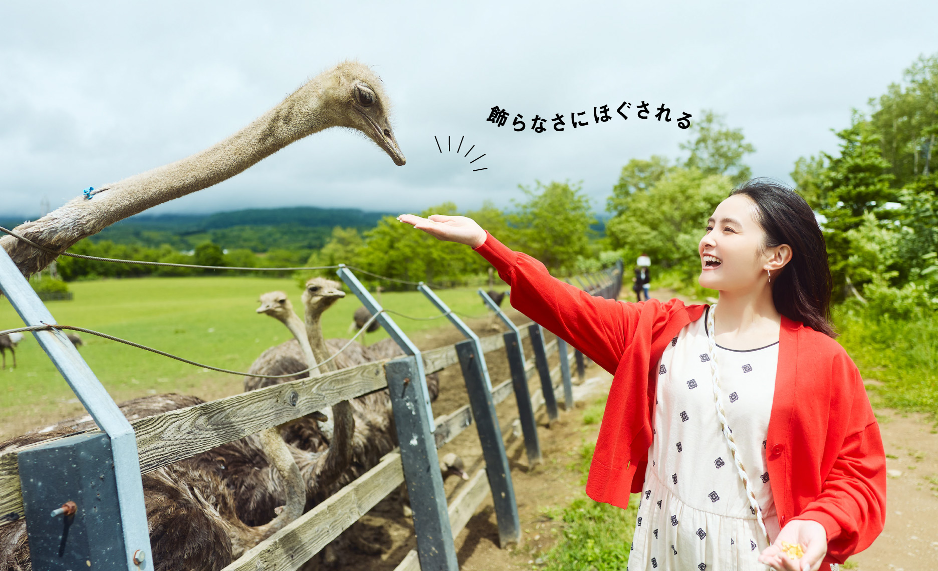 夏のすっぴんニセコ町旅