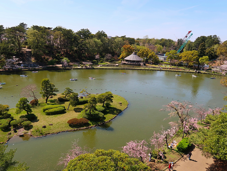 モノレールから見える千葉公園の綿打池（わたうちいけ）が四季折々の姿を見せる
