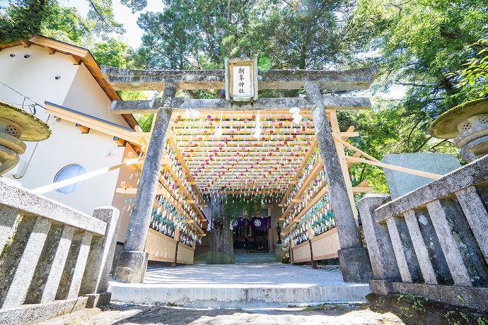 安産・子授けの神様として信仰を集める古社
