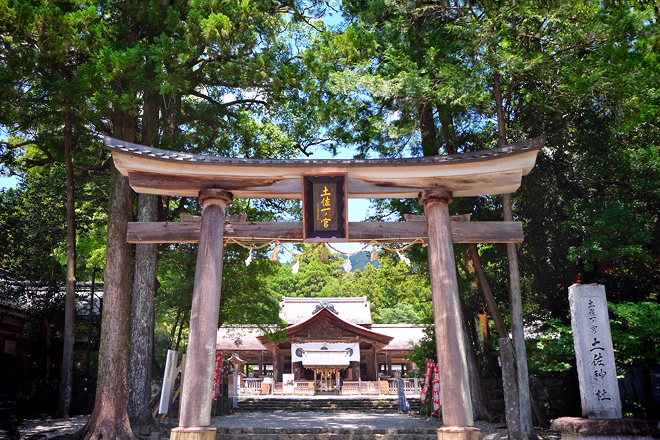 土佐一ノ宮 土佐神社