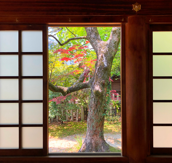 色づく紅葉に包まれ、静かな安らぎを感じる境内