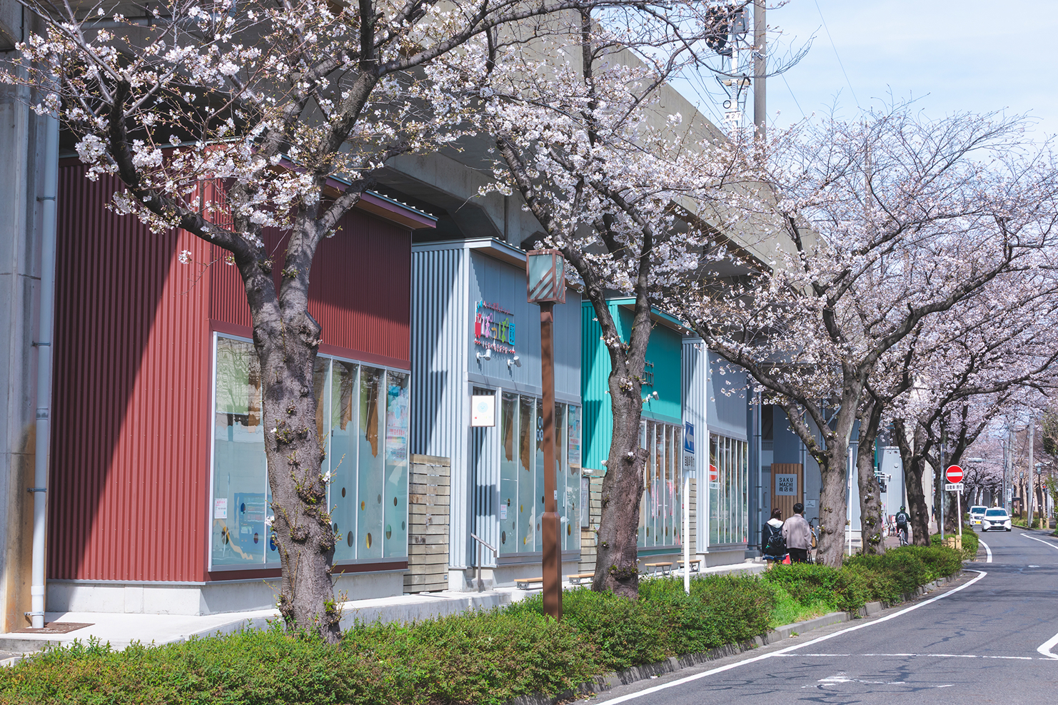 桜並木の足元に、カラフルな店舗が軒を連ねる高架下の商店街