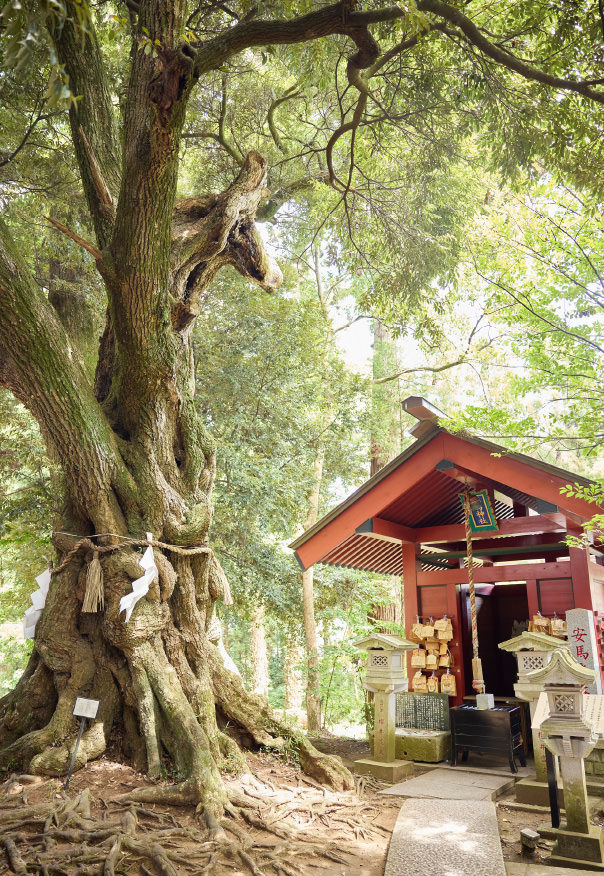 大杉神社