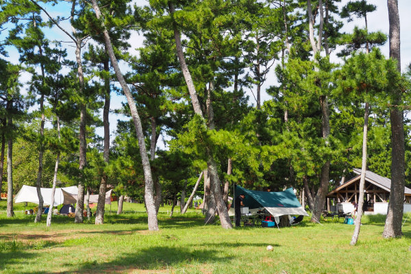 和田公園