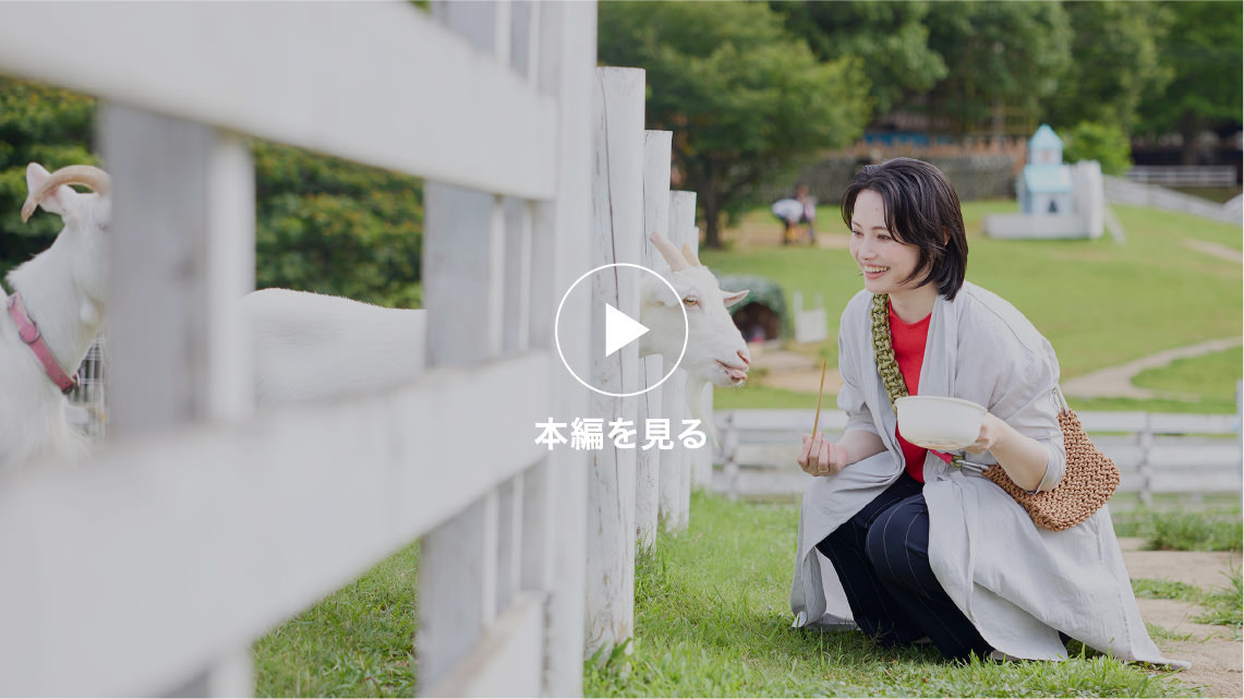 もう一度ムービーで旅のポイントを見る！