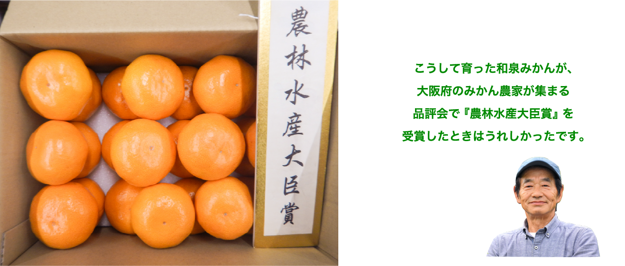 農林水産大臣賞を受賞した和泉みかんの贈答箱