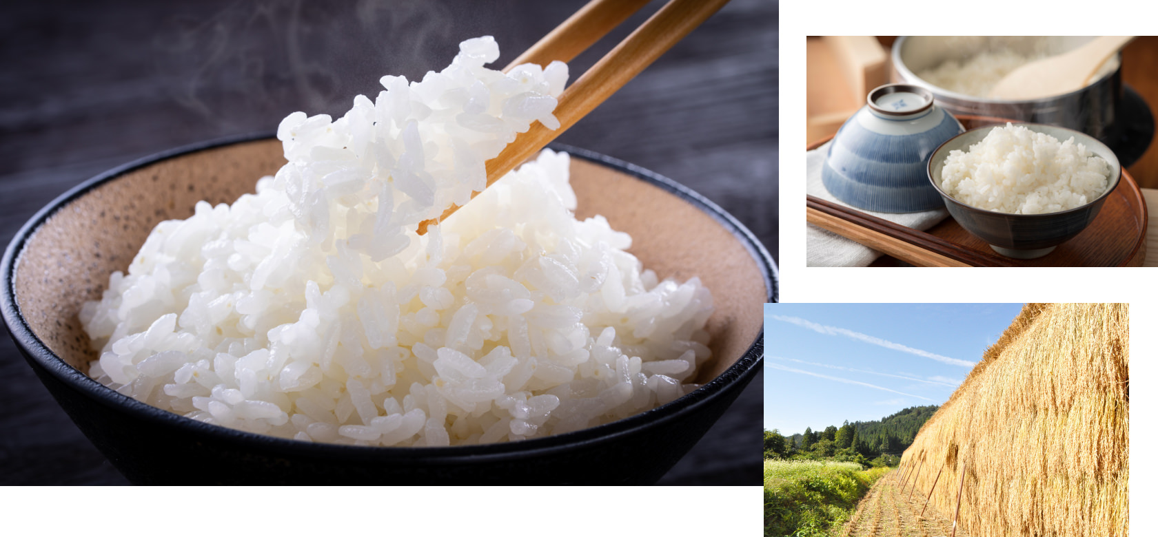 新潟県の山間地域で育まれたコシヒカリ「みかわ稲穂の舞」をプレゼント！