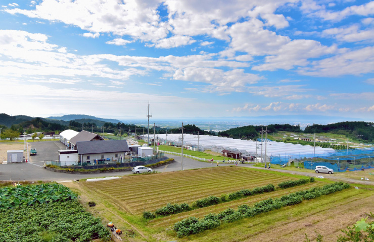 いずみふれあい農の里の全景