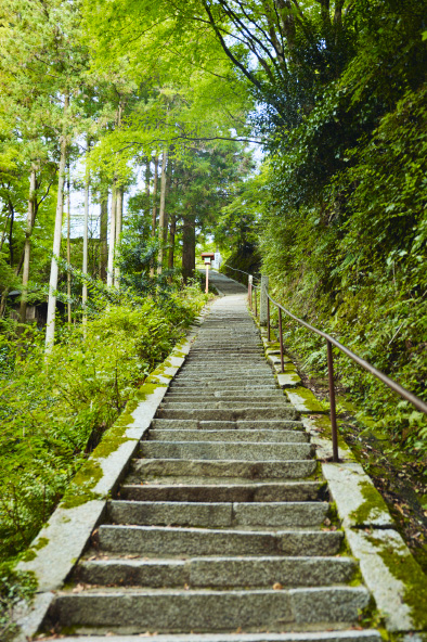 施福寺へ続く石段