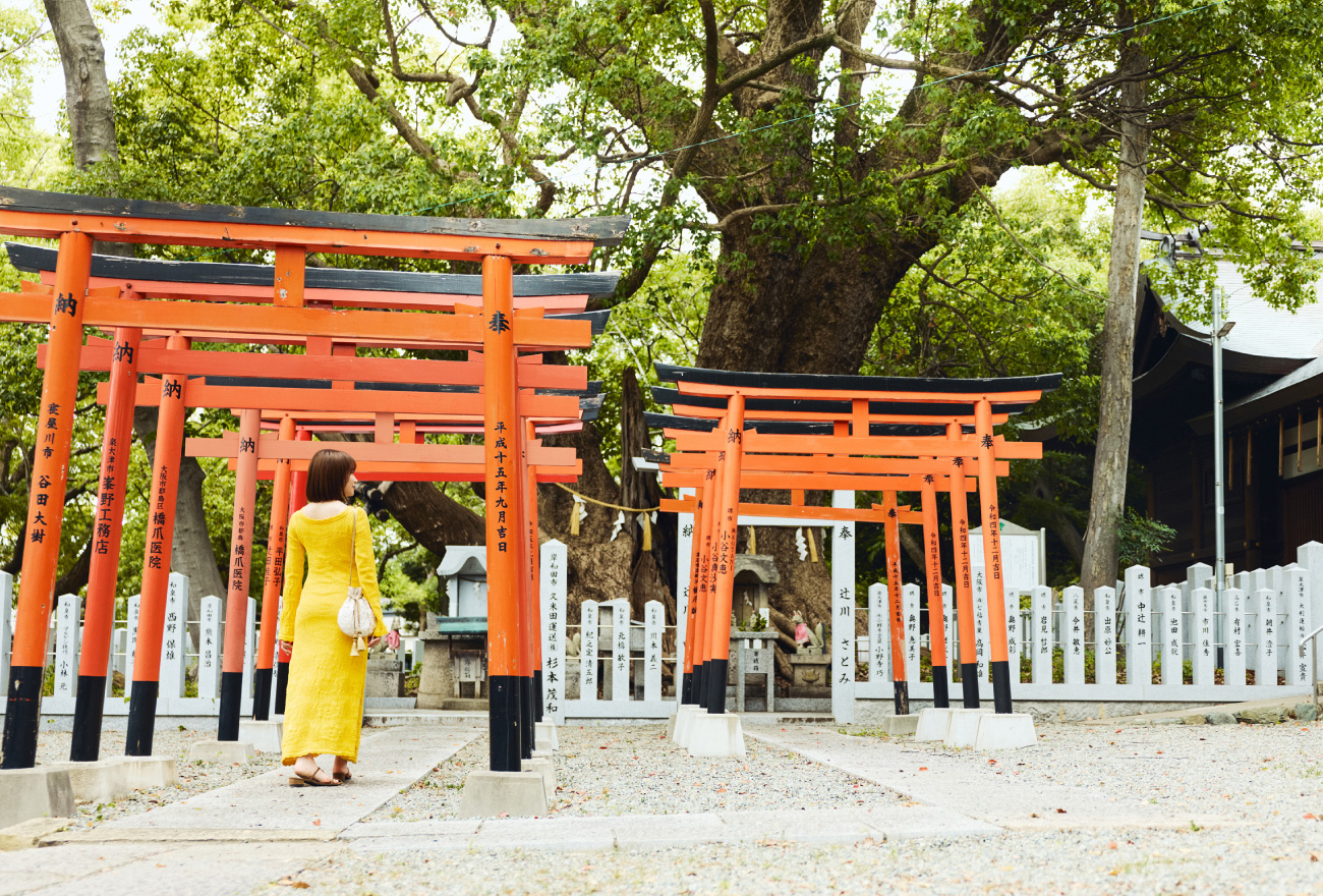 信太森葛葉稲荷神社の鳥居をくぐる秋元真夏さん