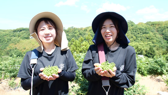 ぶどう山椒の生産者