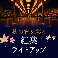 テーマのある旅 秋の宵を彩る紅葉ライトアップ