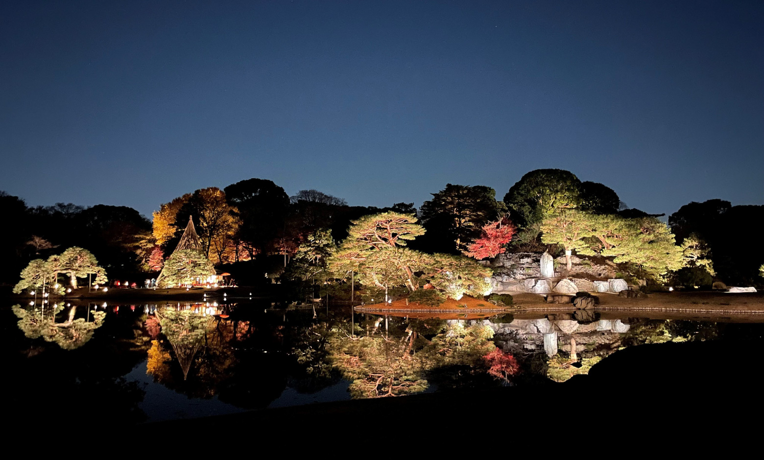六義園 夜間特別観賞