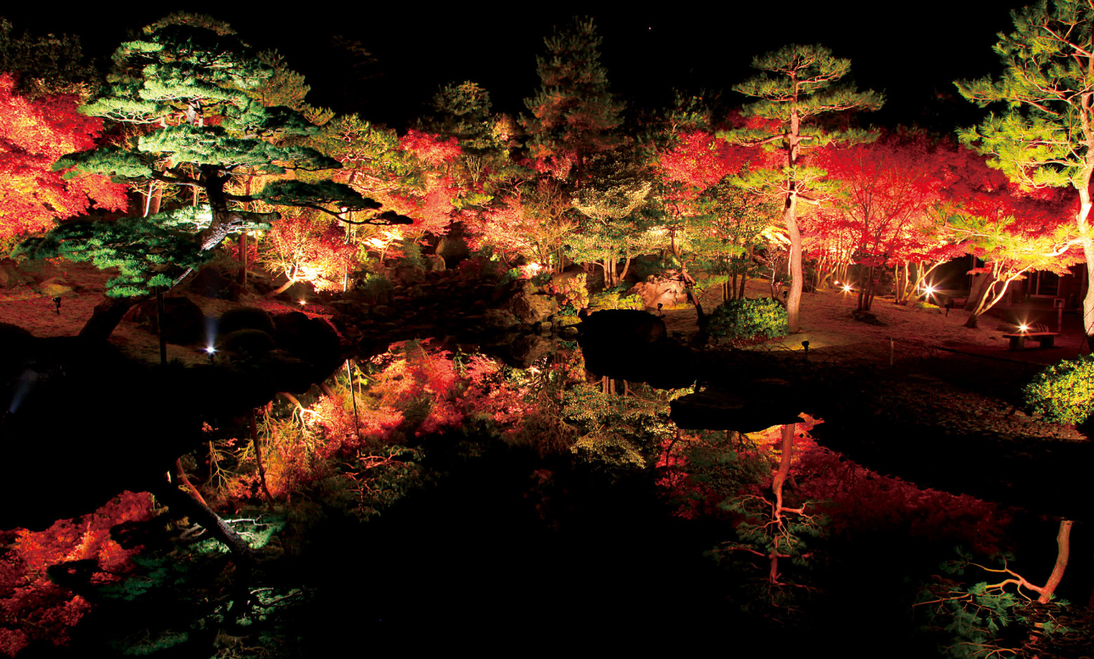 由志園 夜間鑑賞会 紅葉ライトアップ