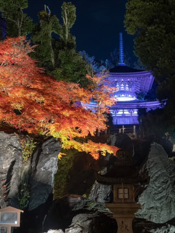 石山寺 あたら夜もみじ