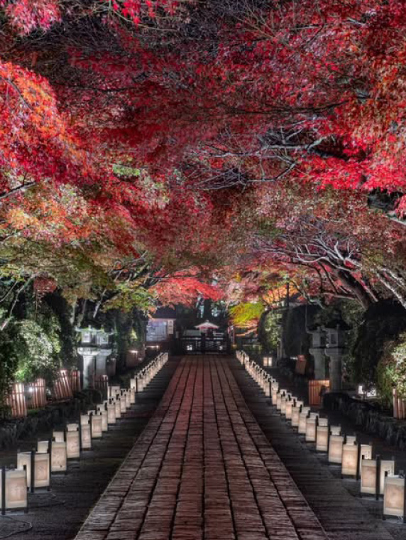 紅葉と行燈の参道