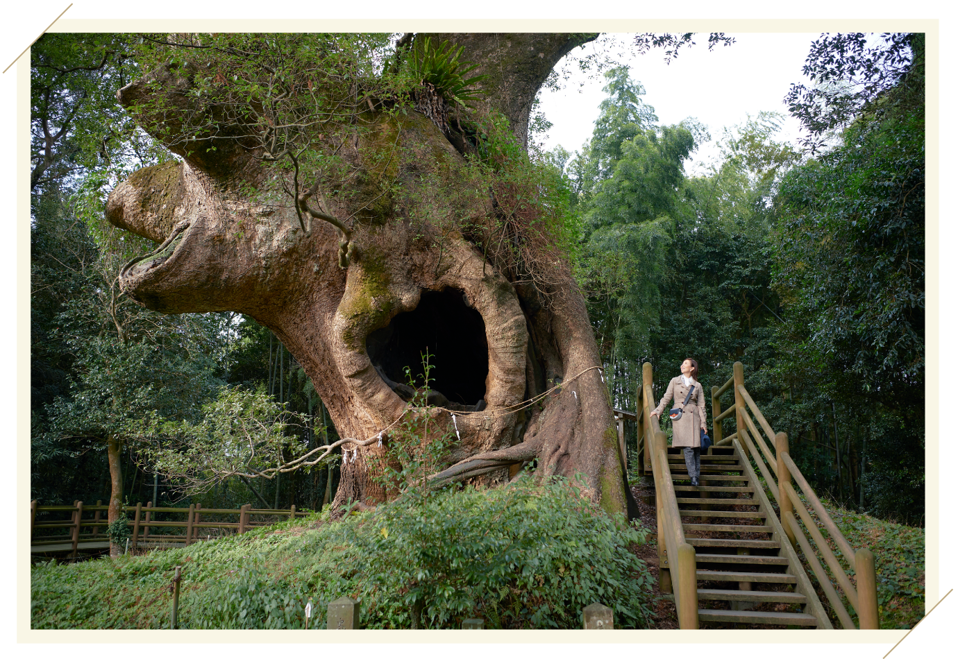 Miki Maya at Tsukazaki Kofun Cluster & Giant Camphor Tree in Tsukazaki 