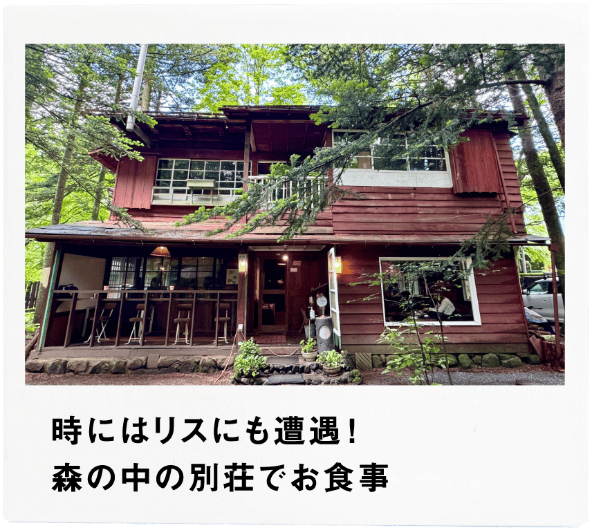 Point1 時にはリスにも遭遇！ 森の中の別荘でお食事