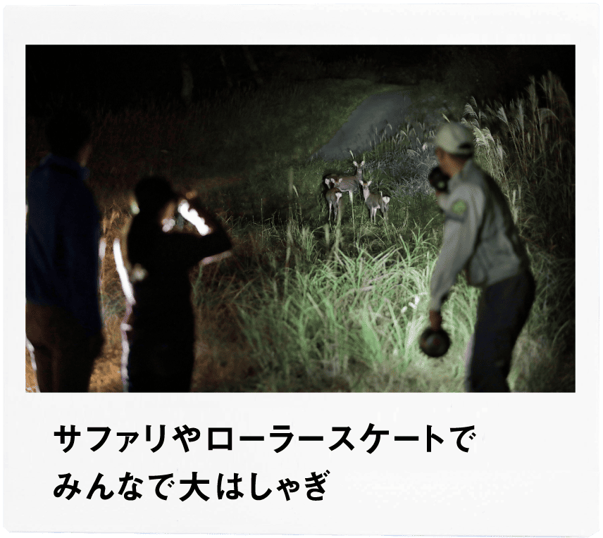 Point3 サファリやローラースケートでみんなで大はしゃぎ