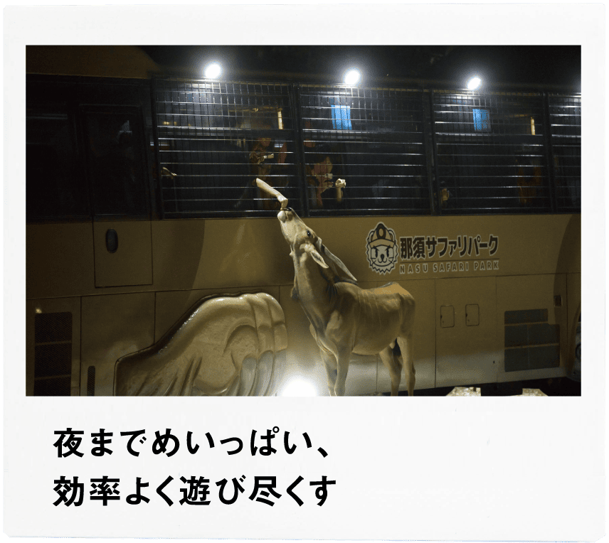 Point3 夜までめいっぱい、効率よく遊び尽くす