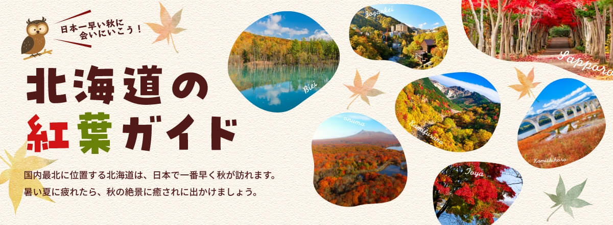 旅色 北海道の紅葉ガイド