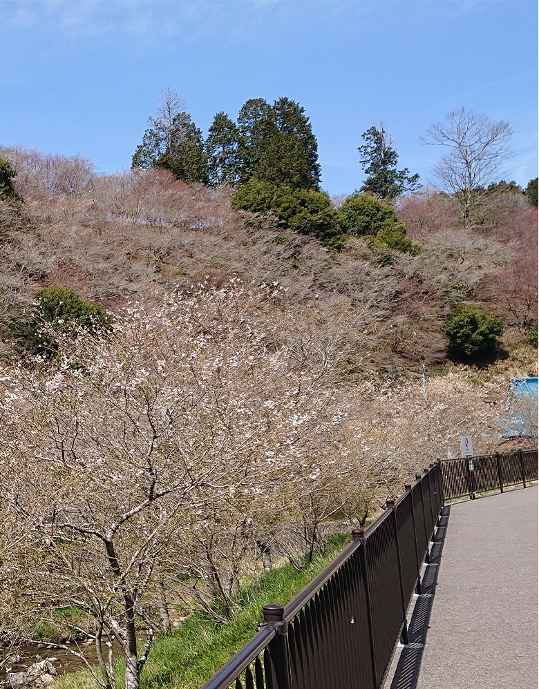 西三河エリア