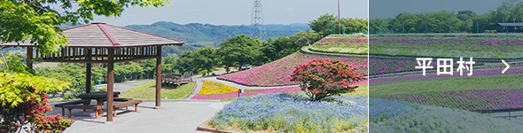 平田村