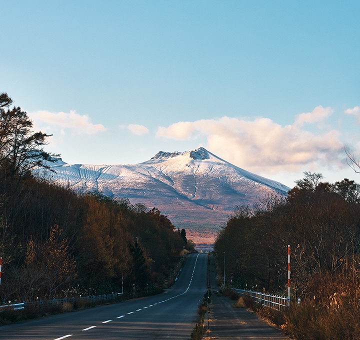 観光スポット！