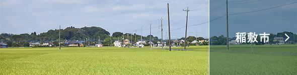 稲敷市