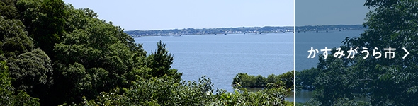 かすみがうら市
