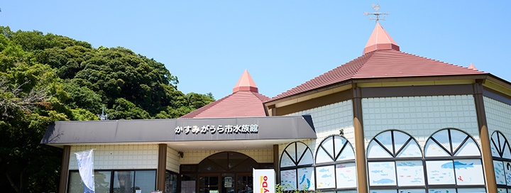 観光スポット！