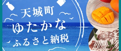 ふるさと納税