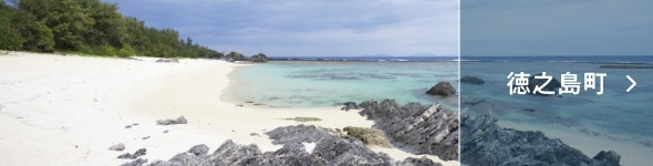 徳之島町