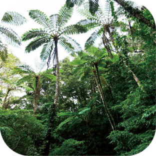 観光スポット！