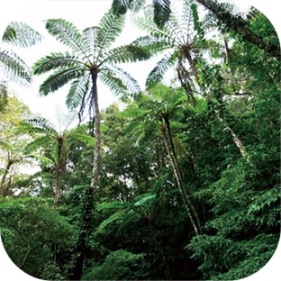 観光スポット！