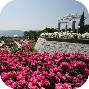 観光スポット！