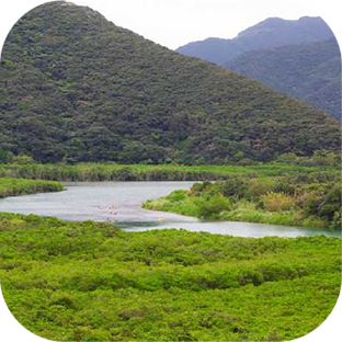 観光スポット！